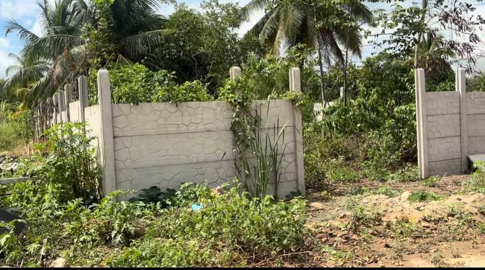 Terreno en Tarapoto, San Martín — foto 2