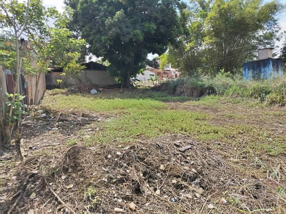 Lote en La Banda de Shilcayo, San Martín — foto 3