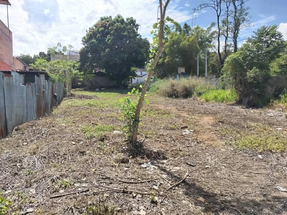 Lote en La Banda de Shilcayo, San Martín — foto 5