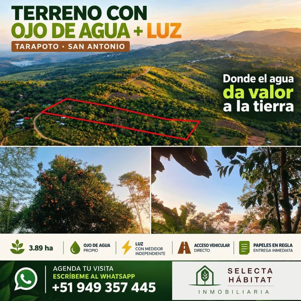 Chacra en La Banda de Shilcayo, San Martín — foto 2