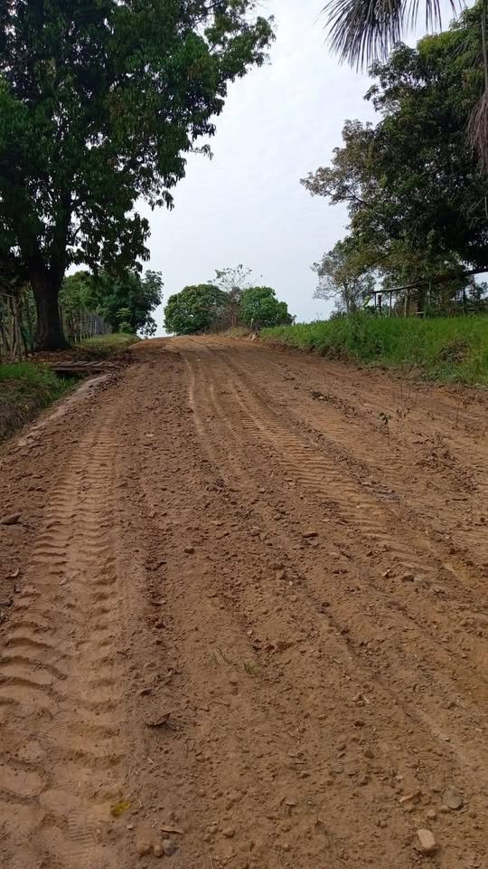 Chacra en Campoverde, Ucayali — foto 4