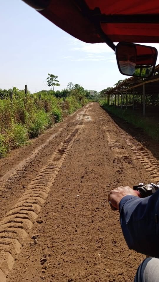 Chacra en Campoverde, Ucayali — foto 5