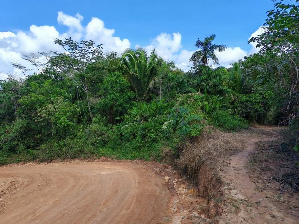 Chacra en Lamas, San Martín — foto 2