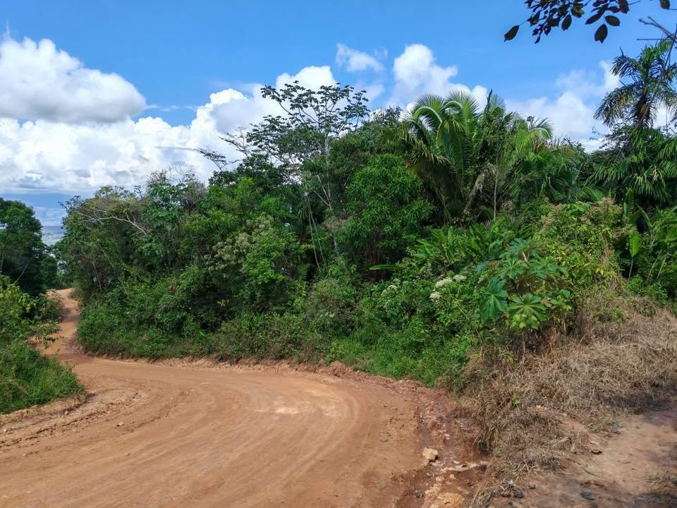 Chacra en Lamas, San Martín — foto 3