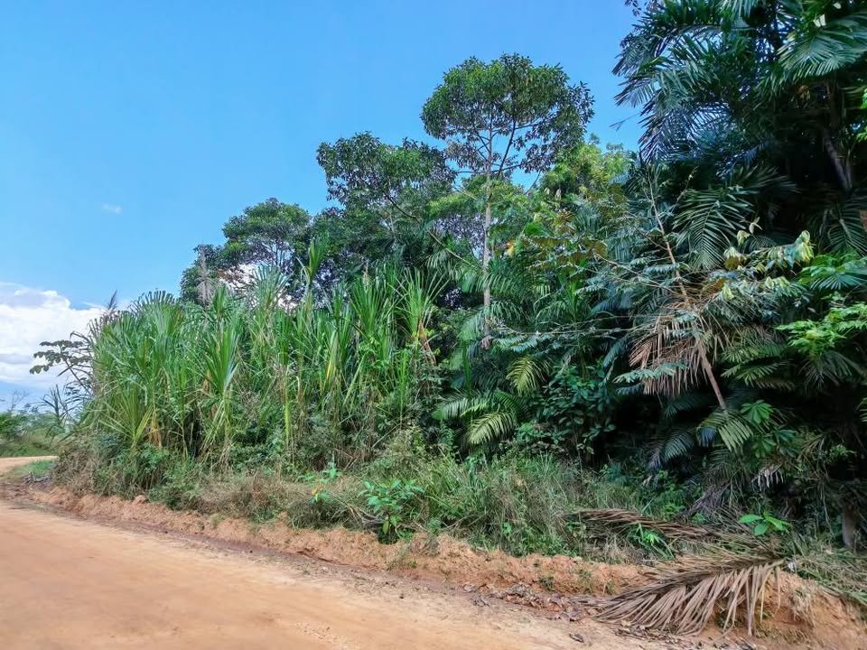 Chacra en Lamas, San Martín — foto 5