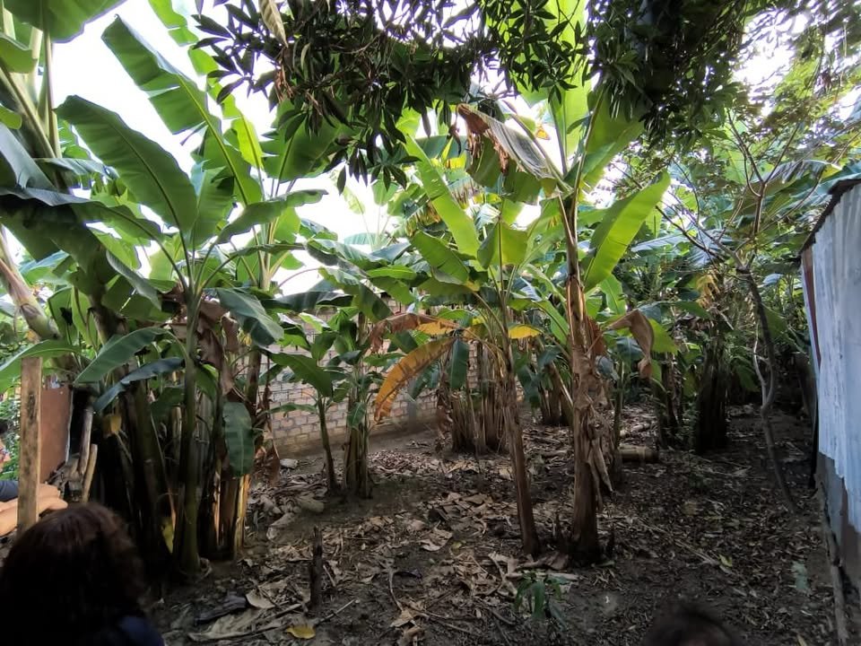 Terreno en Tarapoto, San Martín — foto 2