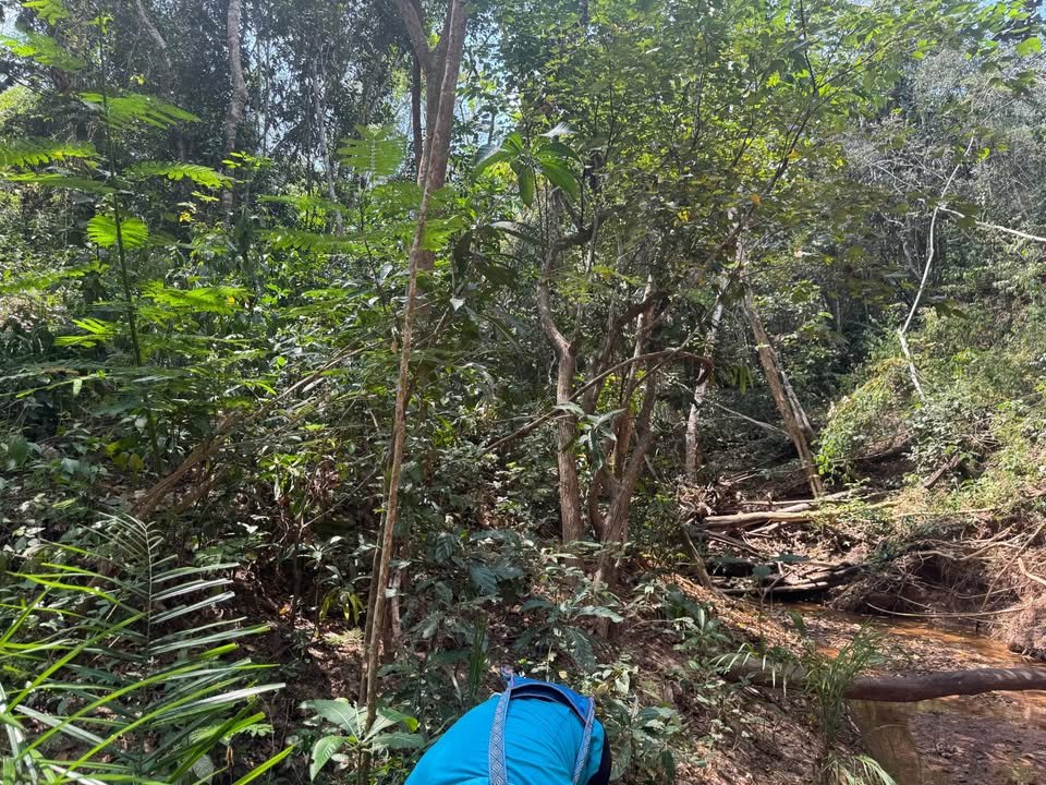 Chacra en Tarapoto, San Martín — foto 4