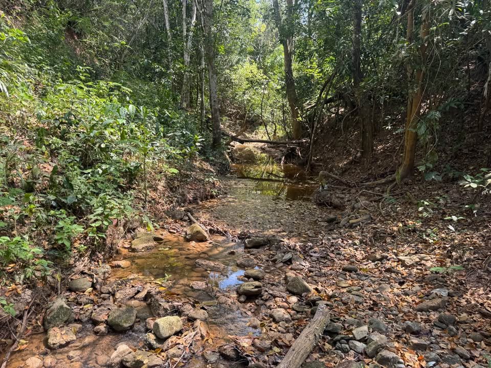 Chacra en Tarapoto, San Martín — foto 6