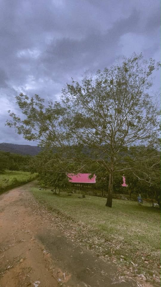 Lote en Tarapoto, San Martín — foto 2