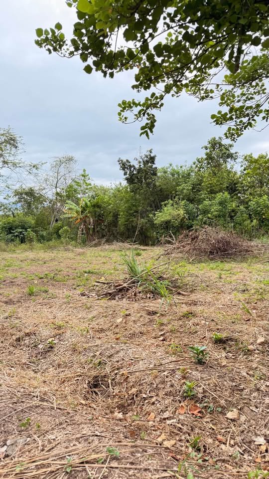 Lote en Tarapoto, San Martín — foto 2
