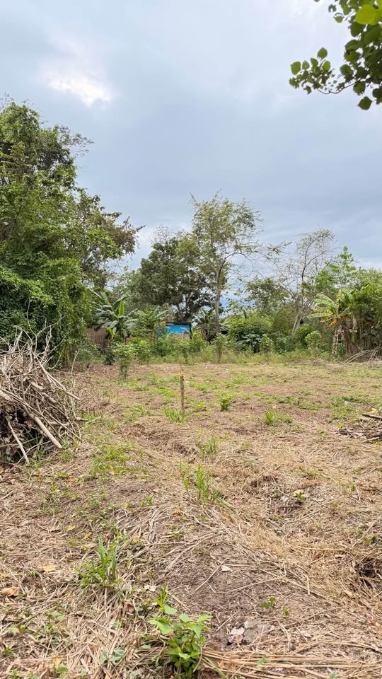 Lote en Tarapoto, San Martín — foto 4