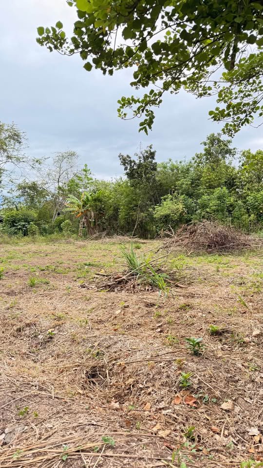 Lote en Tarapoto, San Martín — foto 6