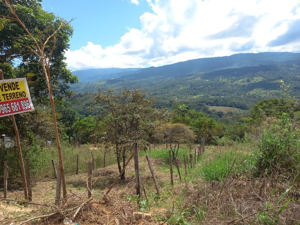 Lote en Lamas, San Martín — foto 6