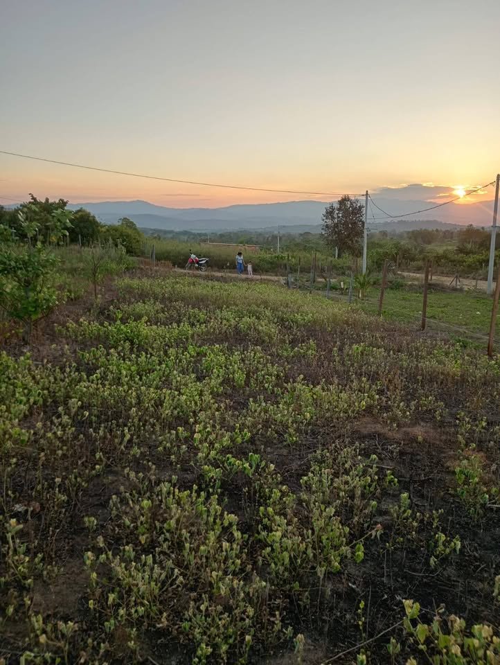 Lote en La Banda de Shilcayo, San Martín — foto 6
