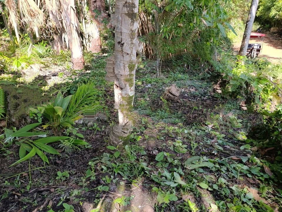 Lote en Tarapoto, San Martín — foto 2