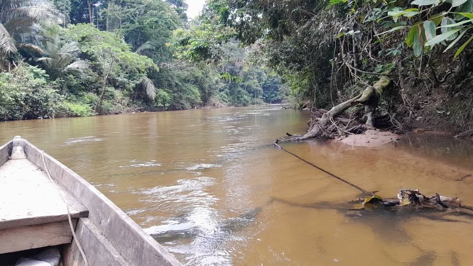Chacra en Tarapoto, San Martín — foto 3