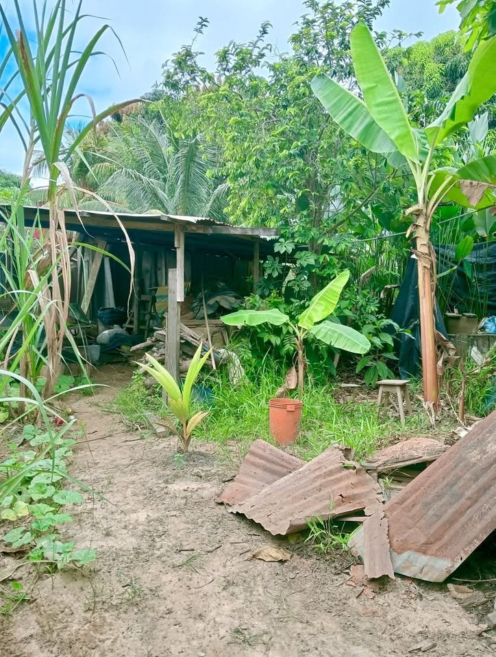 Terreno en Manantay, Ucayali — foto 3