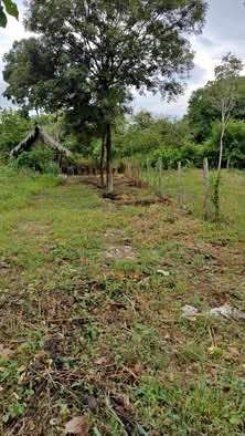 Lote en Juan Guerra, San Martín — foto 1