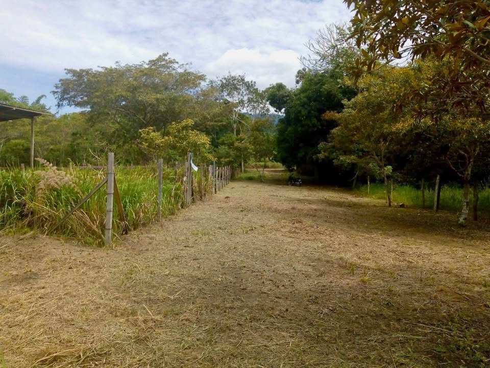 Lote en Tarapoto, San Martín — foto 2