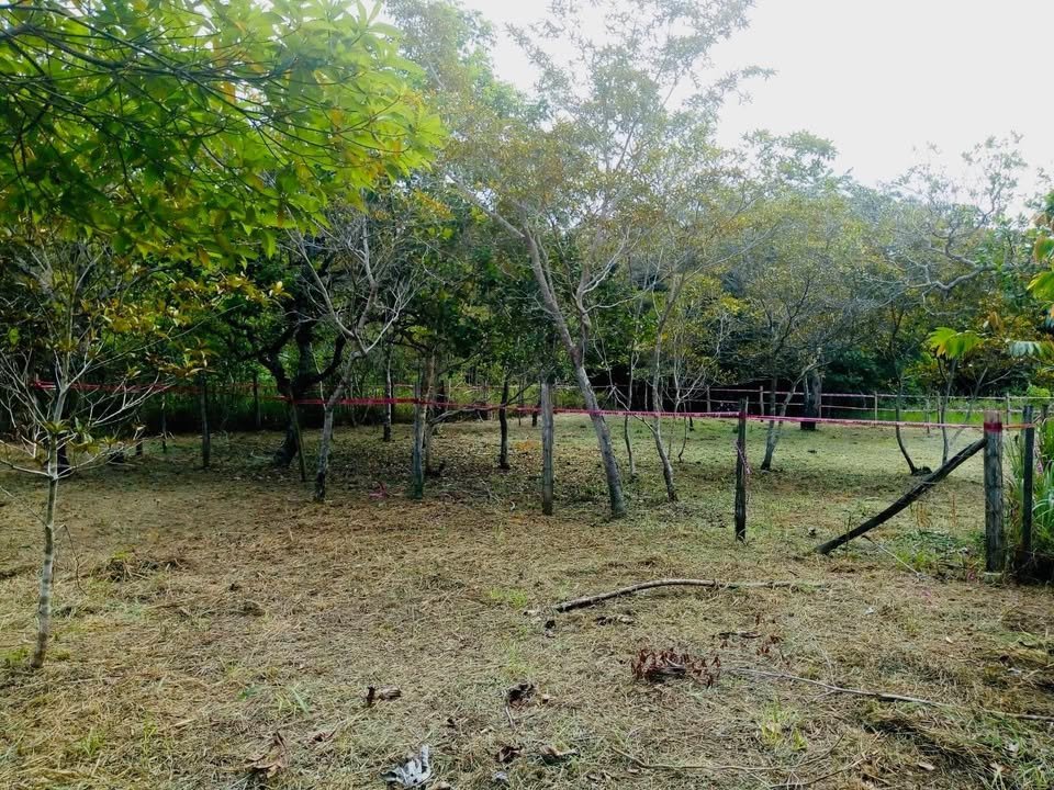 Lote en Tarapoto, San Martín — foto 3