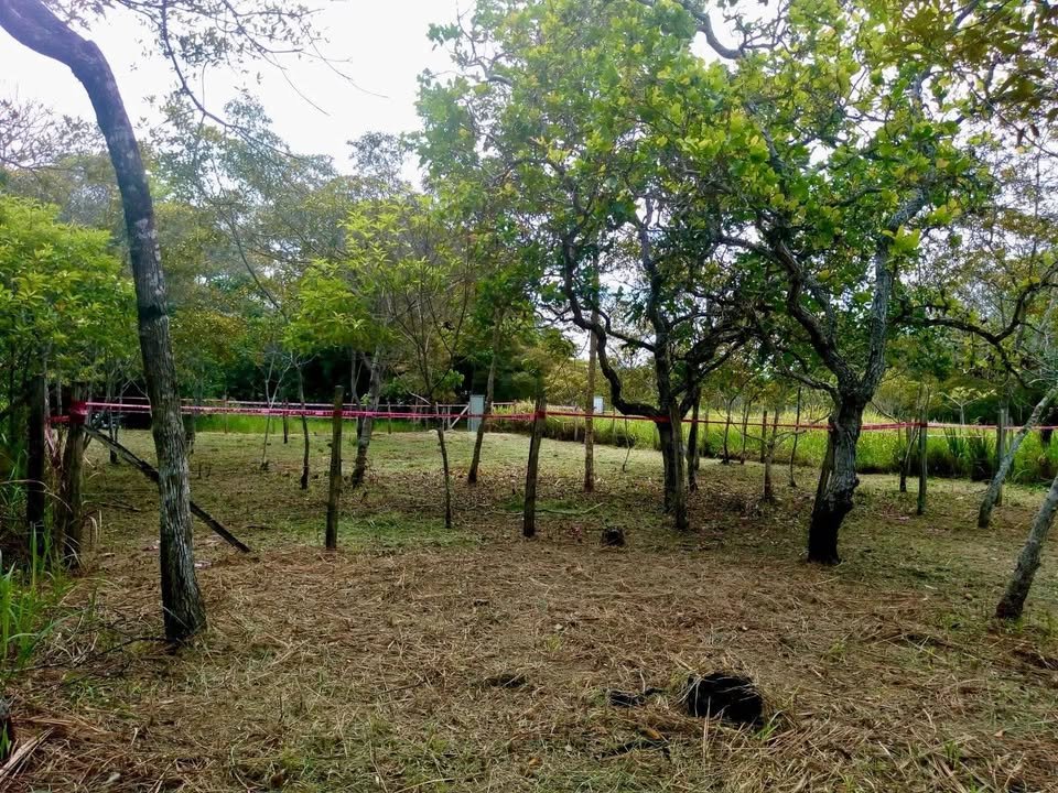 Lote en Tarapoto, San Martín — foto 4