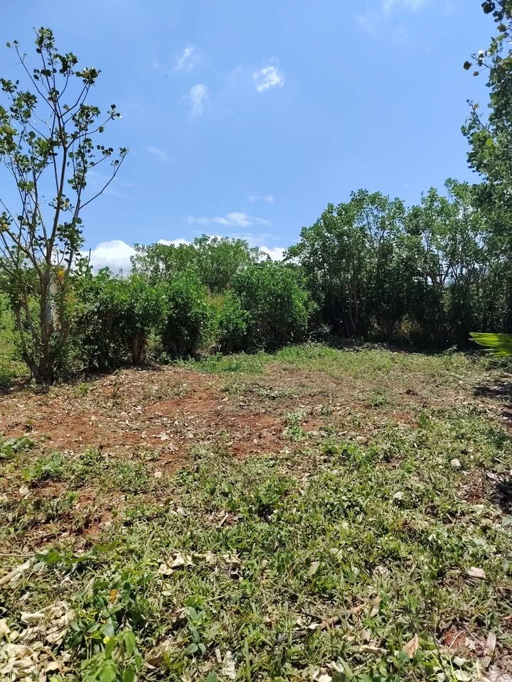 Terreno en La Banda de Shilcayo, San Martín — foto 2