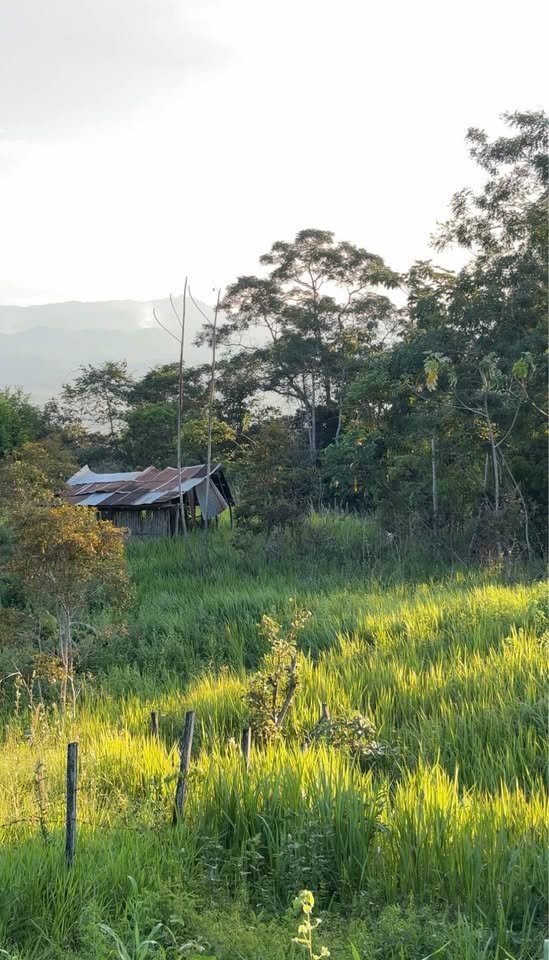 Terreno en Tarapoto, San Martín — foto 2