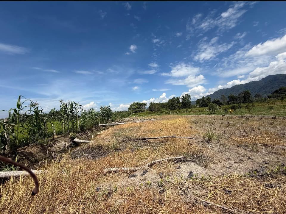 Lote en Nueva Cajamarca — foto 3