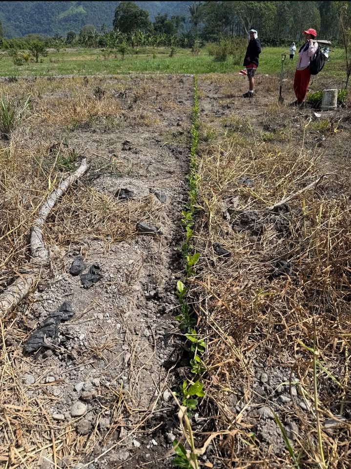 Lote en Nueva Cajamarca — foto 4
