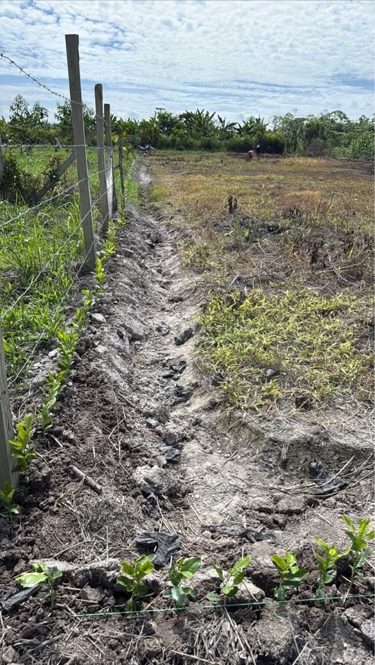 Lote en Nueva Cajamarca — foto 5