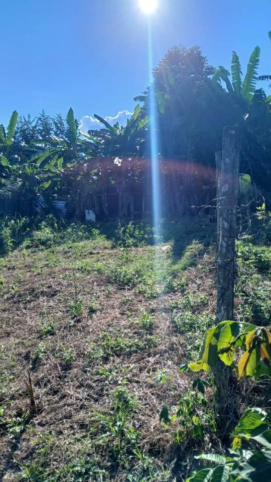 Lote en Tarapoto, San Martín — foto 4