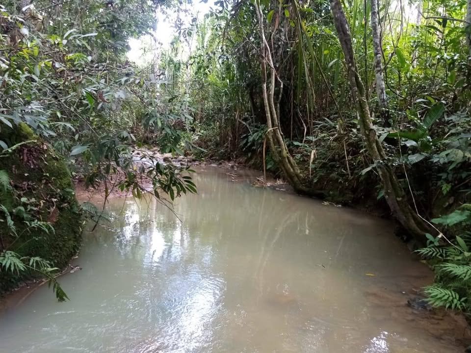 Terreno en San Roque de Cumbaza, San Martín — foto 5