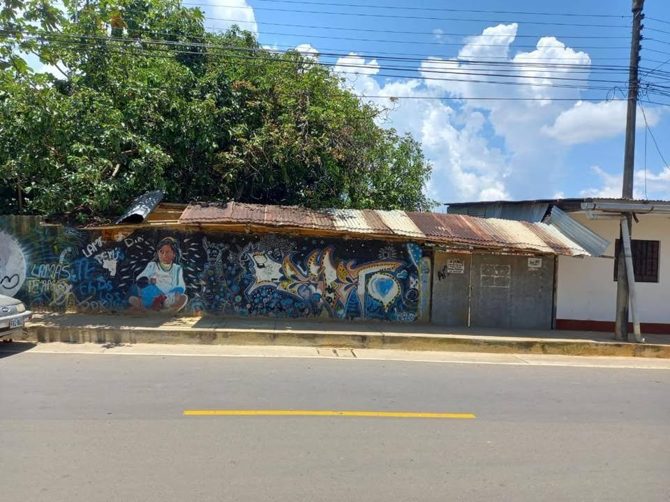 Lote en Lamas, San Martín — foto 2