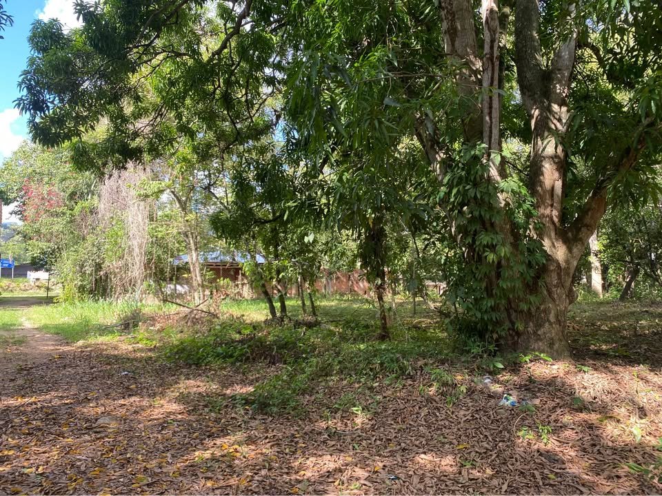 Lote en Morales, San Martín — foto 5
