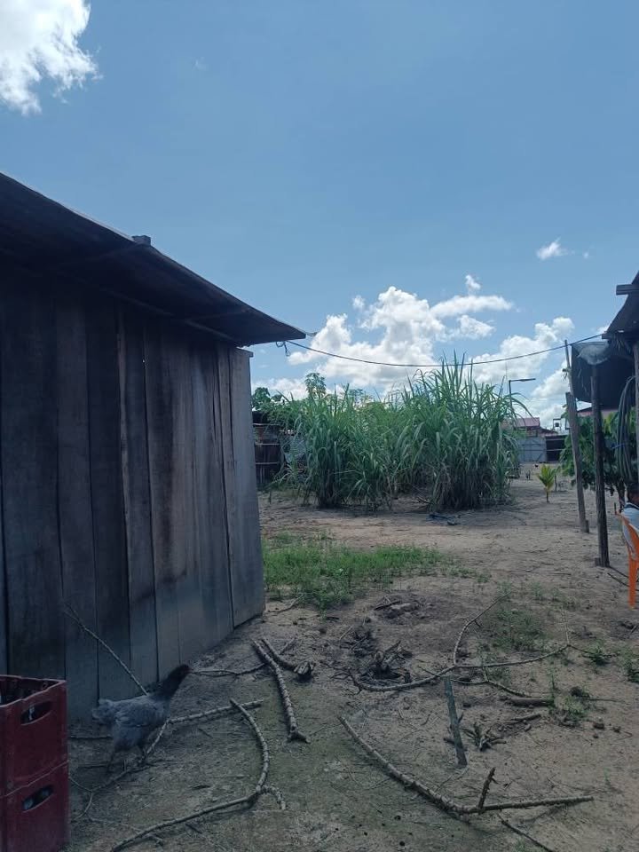 Lote en Callería, Ucayali — foto 3