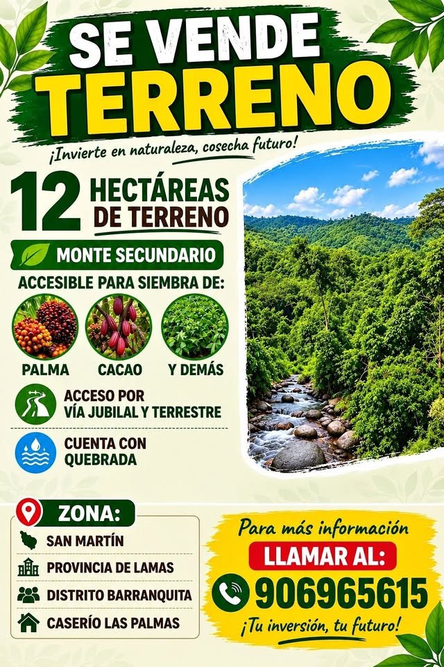 Terreno en Cuñumbuqui, San Martín — foto 1