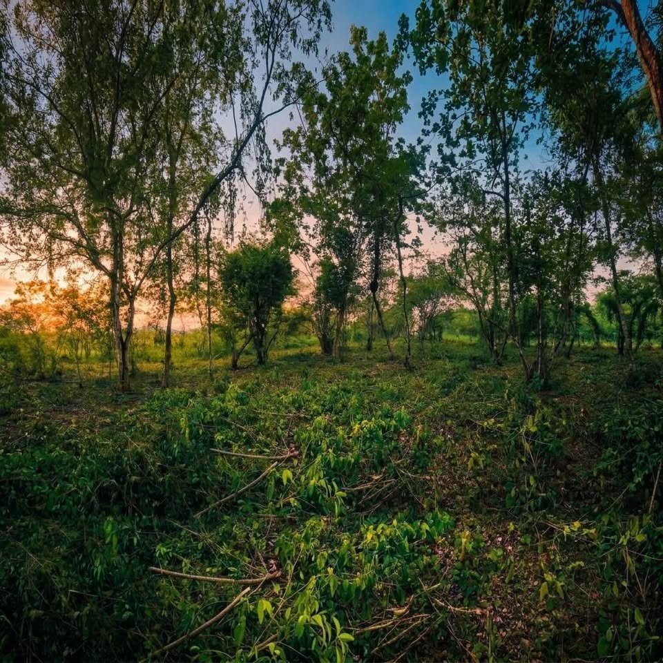 Lote en La Banda de Shilcayo, San Martín — foto 4
