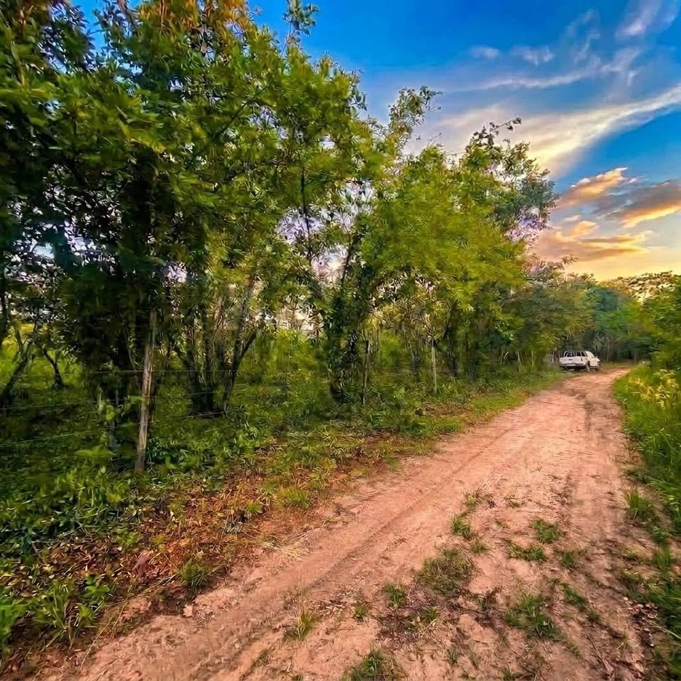 Lote en La Banda de Shilcayo, San Martín — foto 6