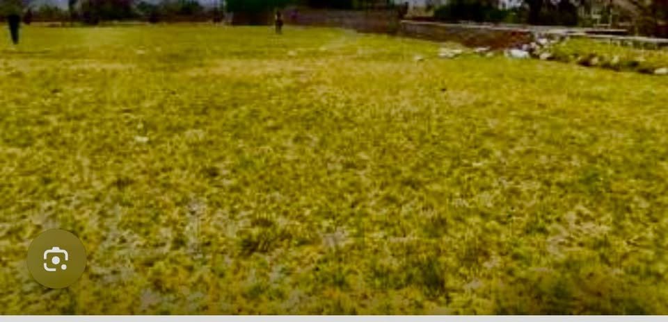 Lote en Tarapoto, San Martín — foto 5