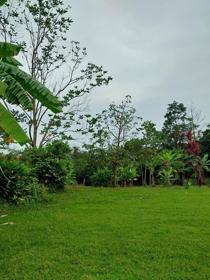 Quinta / casa de campo en Lamas, San Martín — foto 4