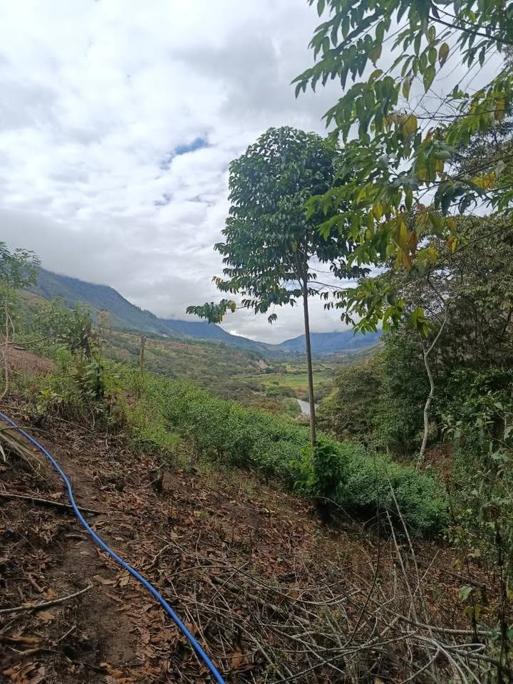 Terreno en Oxapampa, Pasco — foto 2