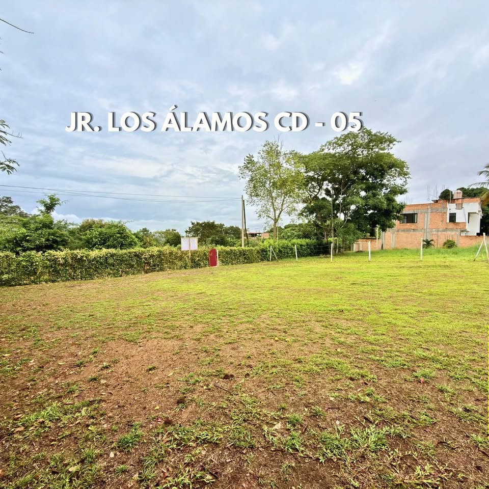 Lote en La Banda de Shilcayo, San Martรญn โ foto 4