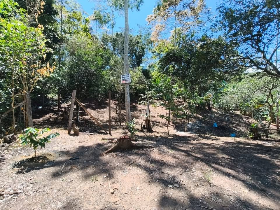 Terreno en Tarapoto, San Martín — foto 2