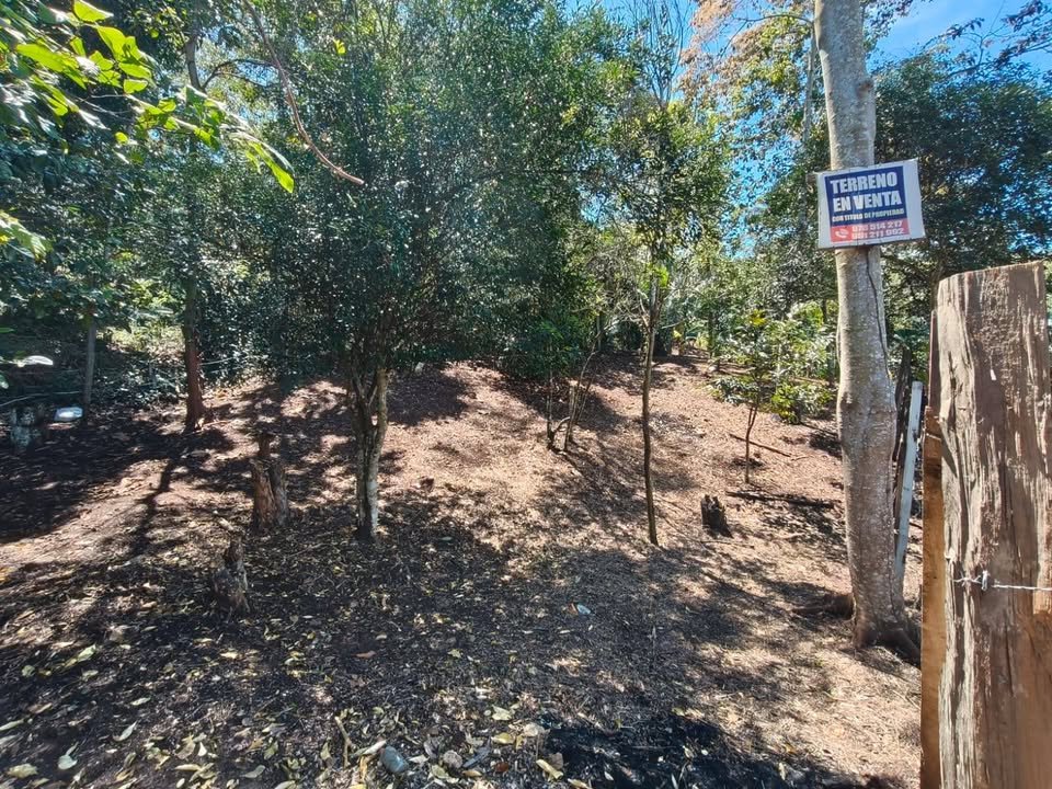 Terreno en Tarapoto, San Martín — foto 3