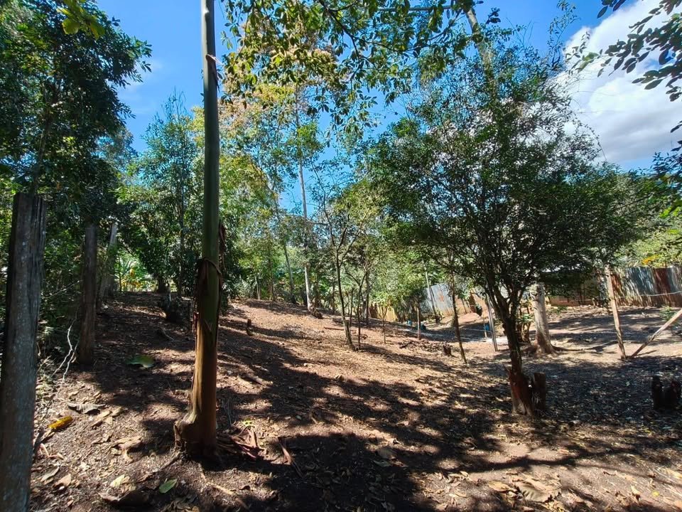 Terreno en Tarapoto, San Martín — foto 4