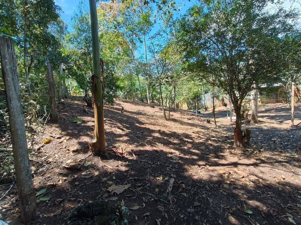 Terreno en Tarapoto, San Martín — foto 5
