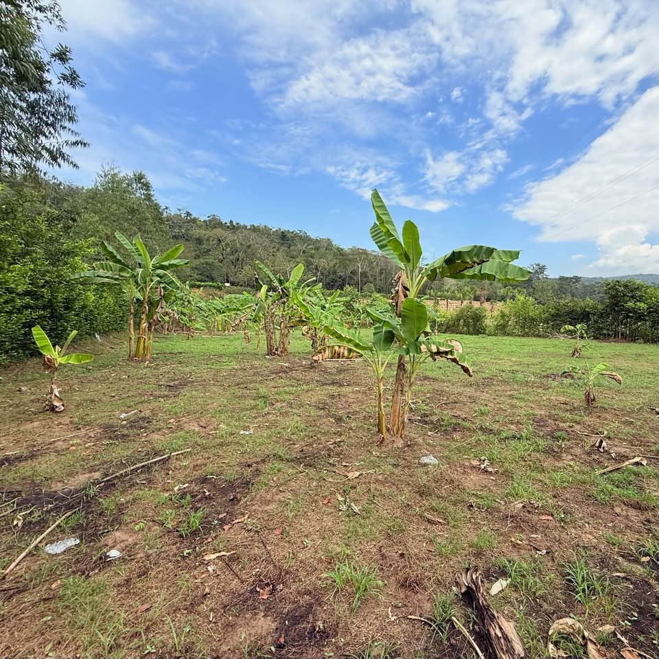 Terreno en Morales, San Martín — foto 4