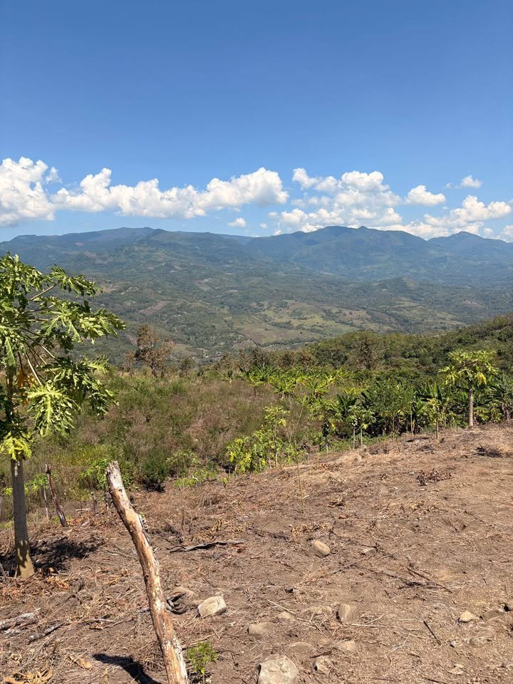 Terreno en La Banda de Shilcayo, San Martín — foto 3