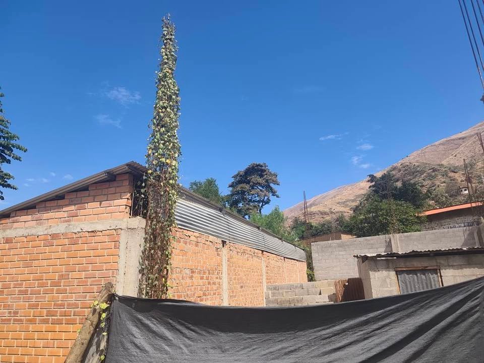 Lote en Conchamarca, Huánuco — foto 2