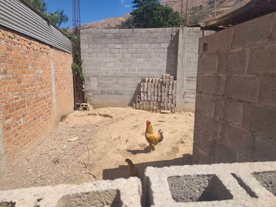 Lote en Conchamarca, Huánuco — foto 3